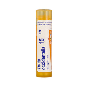 4g-thuja-occidentalis-c15-golyocskak-1.jpg