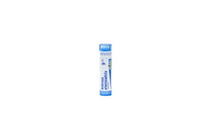 Ambrosia Artemisiaefolia golyócskák 9 Ch 4g kép