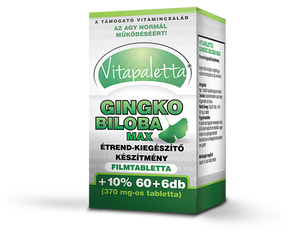 vitapaletta_ginkgo_biloba_max.png
