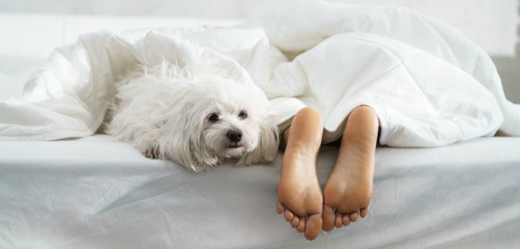 Így kezelhető a leghatékonyabban a lábgomba