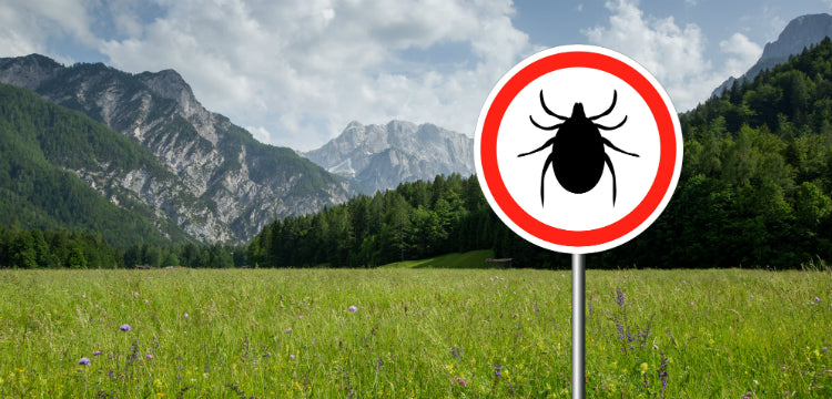Lyme-kór gyerekeknél
