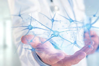 A B1-vitamin felfedezésétől napjainkig - a B-vitaminok szerepéről röviden (x)