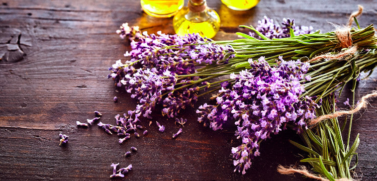 Ezek a legfontosabb gyógynövények