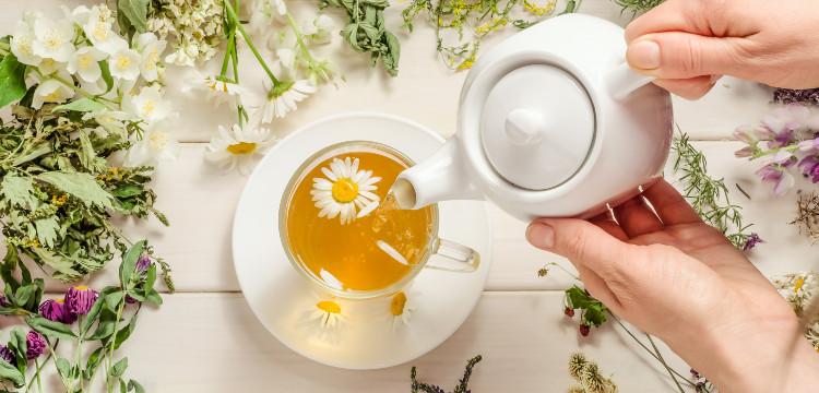 Melyek a kamillatea hatásai? Mutatjuk a legfontosabbakat!