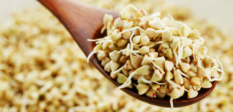 Ennyi mindenre jó a hajdina