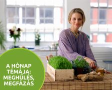 A leghatékonyabb gyógynövények a légúti kórokozók ellen