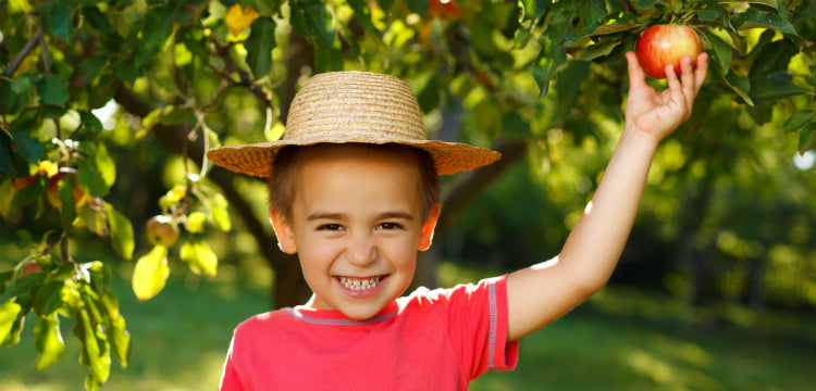Így tarthatjuk szinten gyerekeink vitaminkészletét