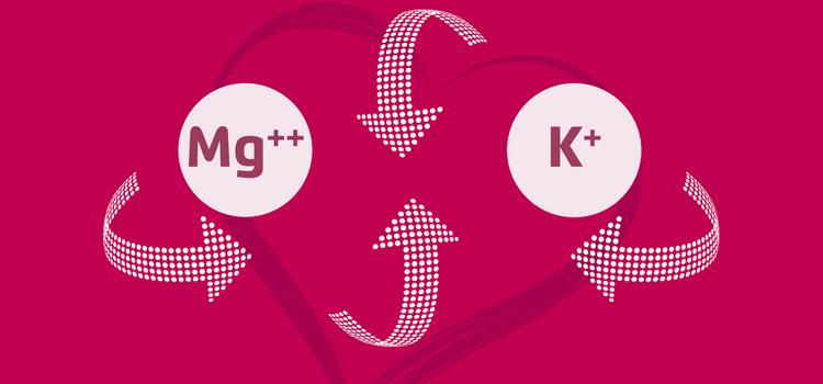 Tudatos táplálkozással is fennállhat az ásványi anyagok hiányállapota