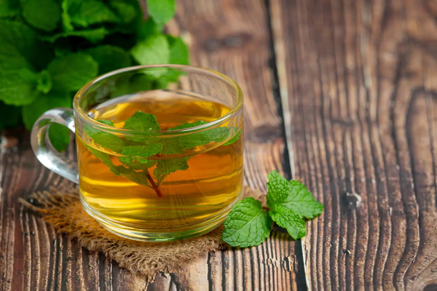 A citromfű tea meglepő hatásai