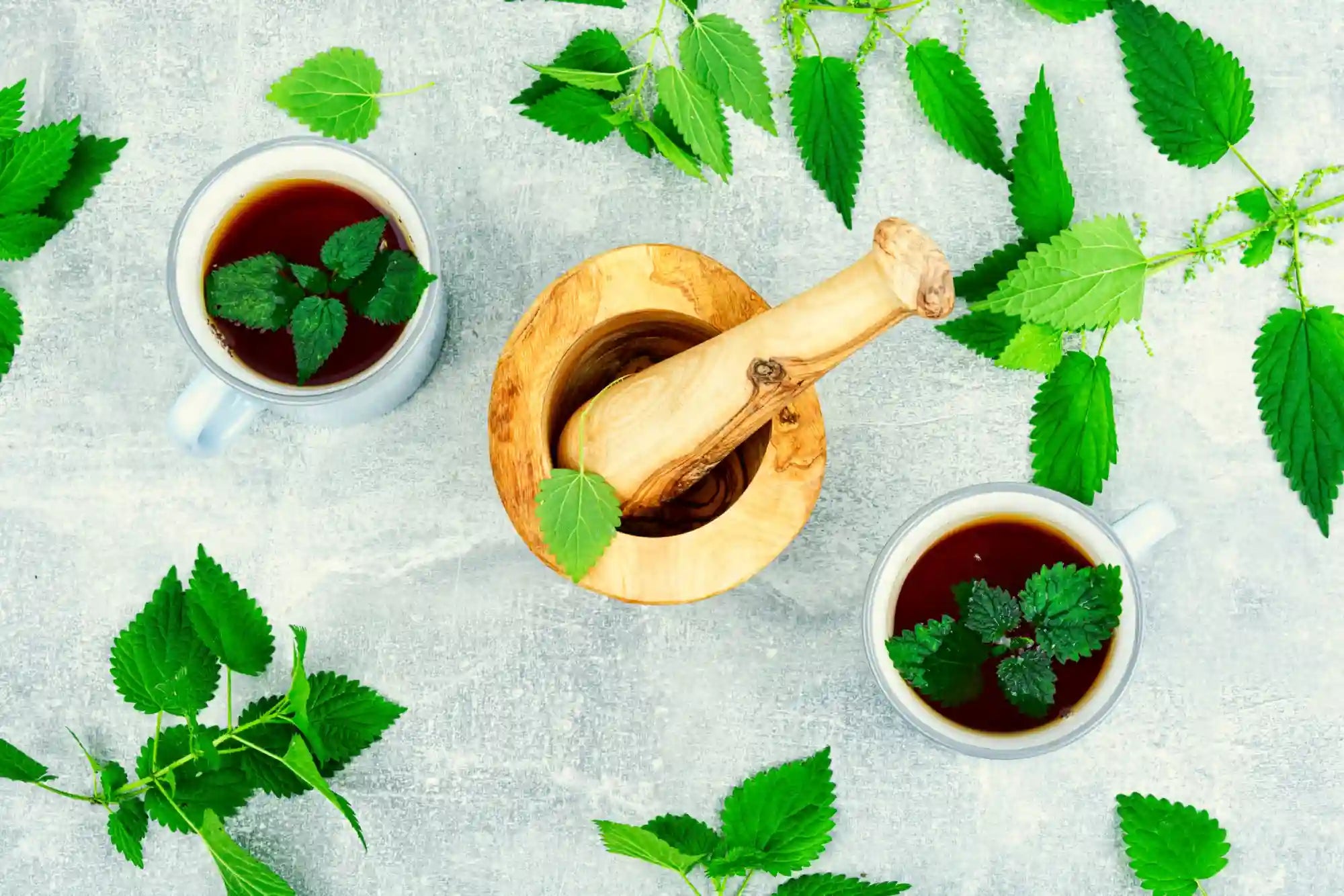 Ezek a csalán tea hatásai külsőleg, belsőleg