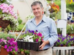 A kerti munkák veszélyei