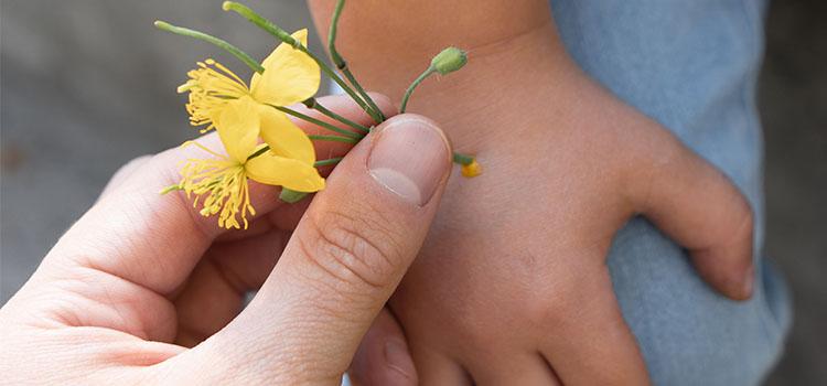 Kicsi, de zavaró, avagy hogyan kezeljük a szemölcsöket? (x)