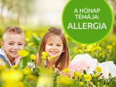Mit kell tudni az allergiáról?