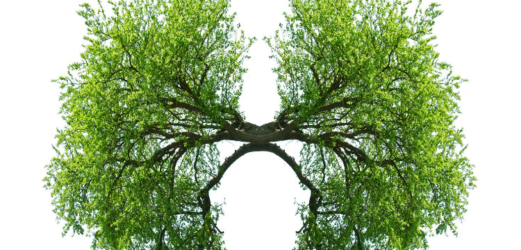 A tüdőrák korai jelei