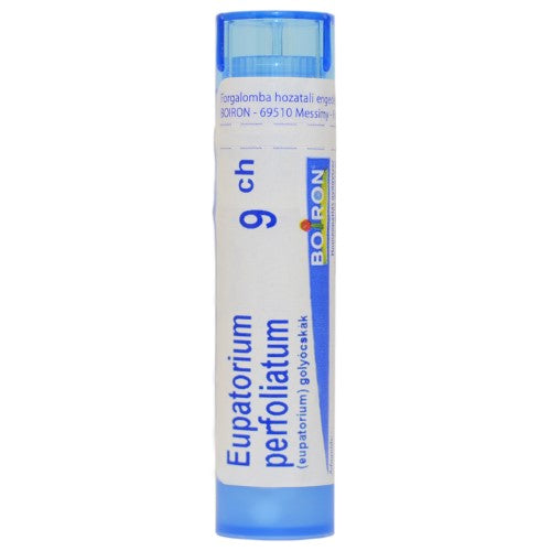 Eupatorium Perfoliatum golyócskák 9 Ch 4g - Kép