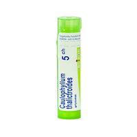 Caulophyllum Thalictroides golyócskák 5 Ch 4g - Kép