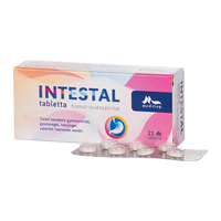 Intestal tabletta 21 db - Kép