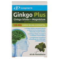 Innopharm Ginkgo Plus Ginkgo Biloba + Magnézium 120mg filmtabletta 60 db - Kép