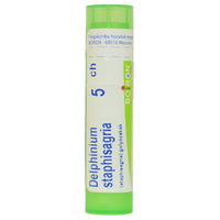 Delphinium Staphisagria golyócskák 5 Ch 4g - Kép