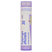 Euspongia Officinalis golyócskák 30 Ch 4g - Kép