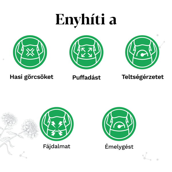 Iberogast emésztési panaszok széles spektrumára 100ml - Kép 3
