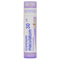 Conium Maculatum golyócskák 30 Ch 4g - Kép