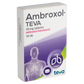 Walmark GinkoPrim Max 120 mg tabletta 60 db - Kép 2