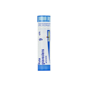 4g-ruta-graveolens-c9-golyocskak-1.jpg