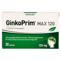 Walmark GinkoPrim Max 120 mg tabletta 30 db - Kép