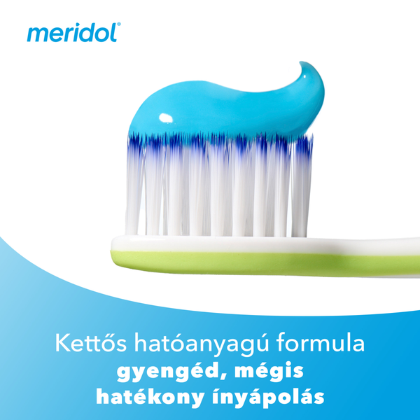 Meridol Parodont Expert fogkrém 75ml - Kép 12