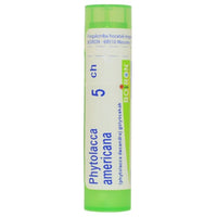Phytolacca Americana golyócskák 5 Ch 4g - Kép