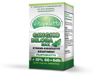 Vitapaletta Ginkgo Biloba Max tabletta 66 db - Kép
