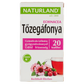 NATURLAND Gyümölcstea tőzegáfonyával és echinaceával 20x2g - Kép 1