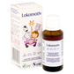 Lokomotiv B-vitaminokat, kamillát és gyömbért tartalmazó étrend-kiegészítő csepp 30ml - Kép 2