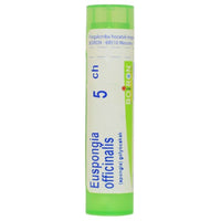 Euspongia Officinalis golyócskák 5 Ch 4g - Kép