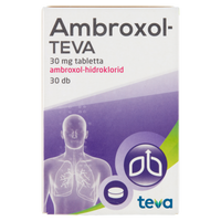 Walmark GinkoPrim Max 120 mg tabletta 60 db - Kép