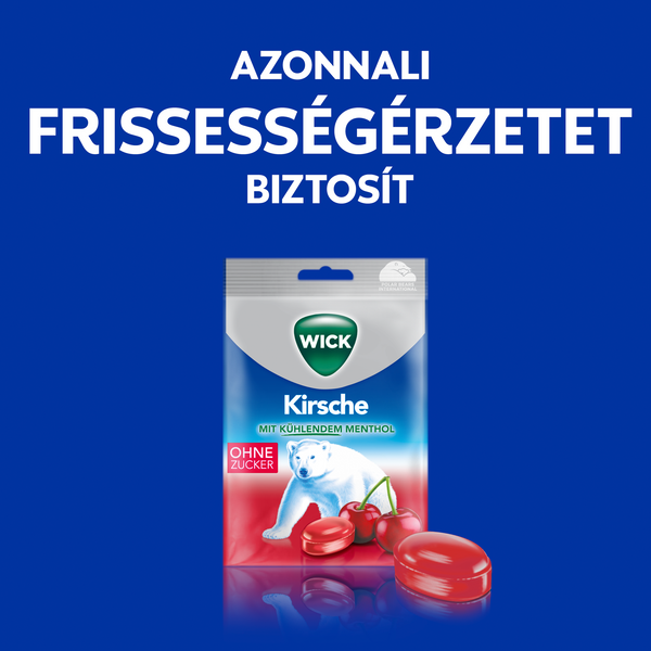 Wick torokcukor Meggy Eukaliptusz 72g - Kép 8