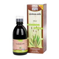JutaVit Lándzsás útifű szirup 300ml - Kép