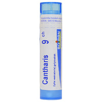 Cantharis golyócskák 9 Ch 4g - Kép