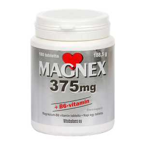 magnex_375_mg_b6_tabletta_180x_127348_2017.png