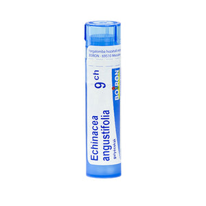 Echinacea Angustifolia golyócskák 9 Ch 4g kép