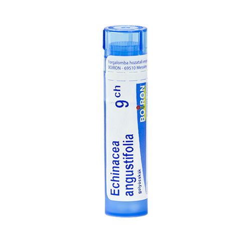 Echinacea Angustifolia golyócskák 9 Ch 4g - Kép