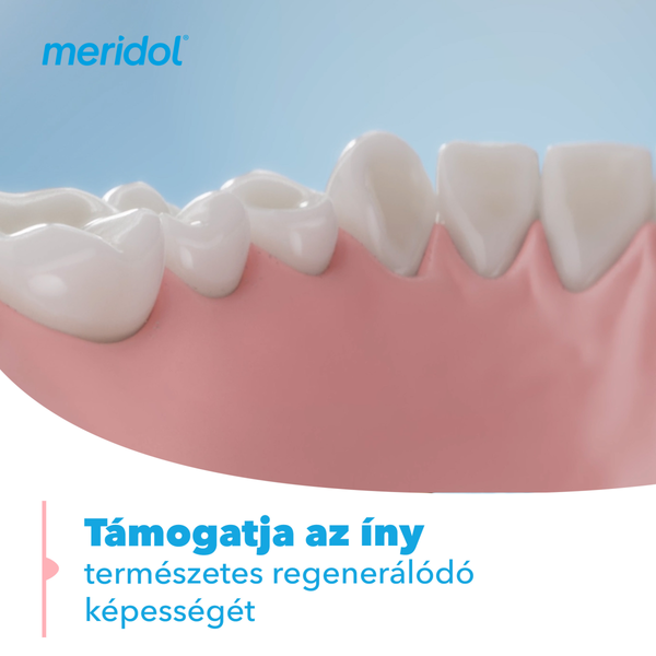 Meridol Parodont Expert fogkrém 75ml - Kép 14