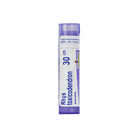 Rhus Toxicodendron golyócskák 30 Ch 4g - Kép